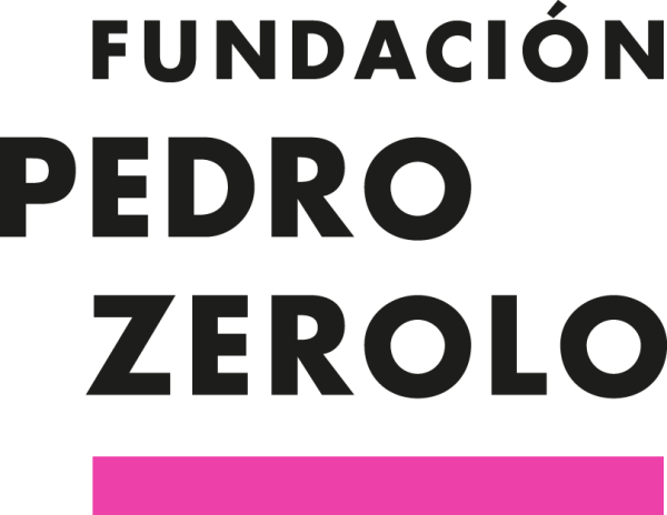 fundacion pedro zerolo